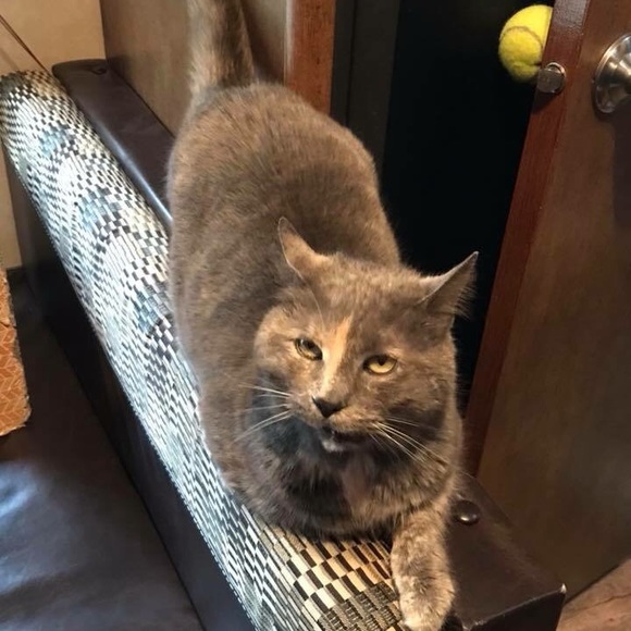 Meet your Posher, Pam - Picture 5 of 8